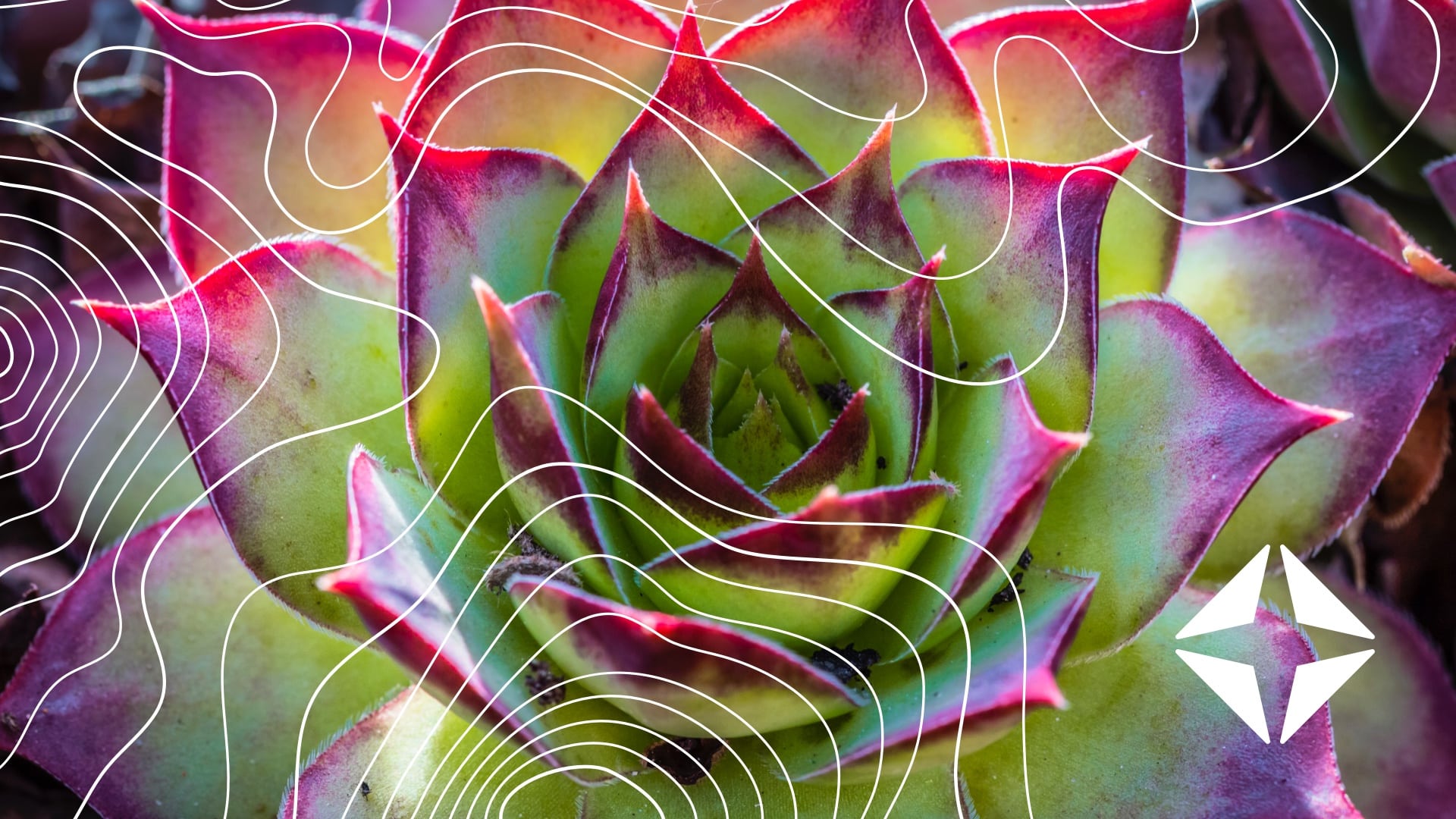 Automating prior authorization: How to cut costs 50% in outpatient care