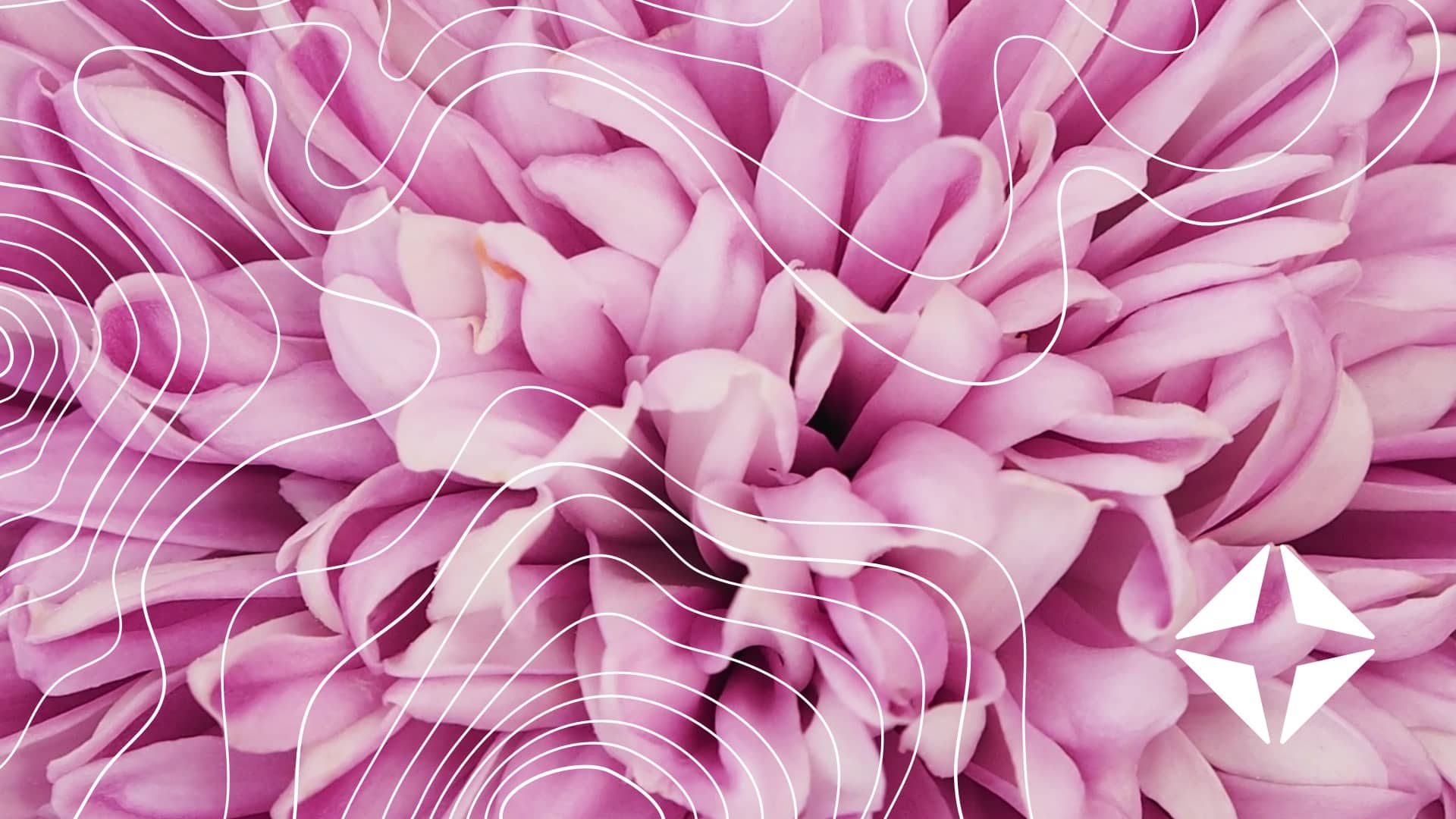 Defeating denials: Where you need to be using AI now