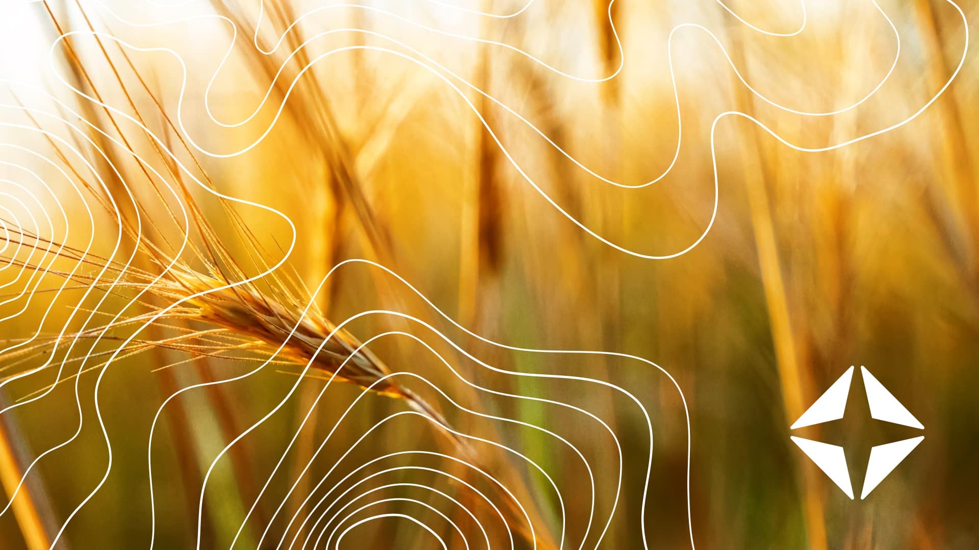 Open enrollment 2025: Navigating coverage changes, new legislation + more