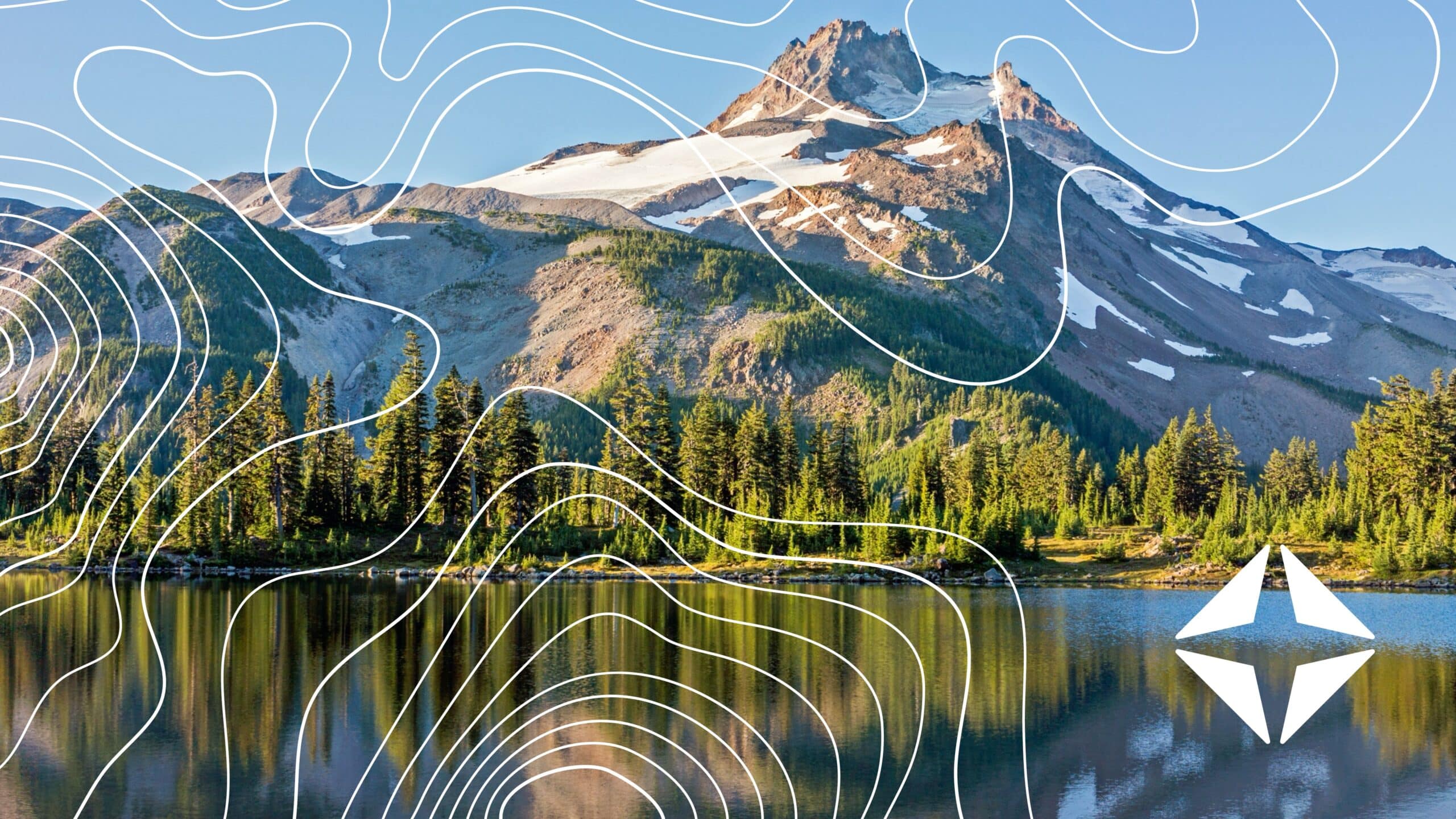 Expert Q+A: Using AI to boost back-office automation 300%