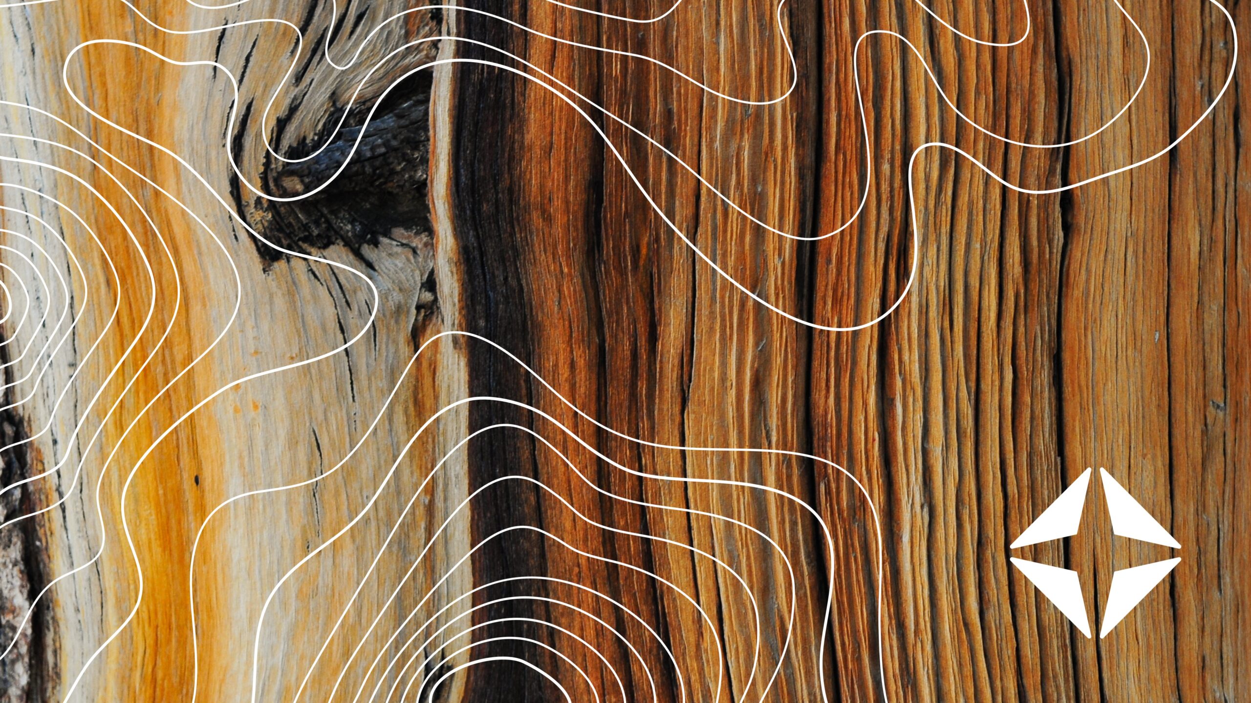 LIVE Q+A — Ask our experts anything: Healthcare payments<br><br>March 17&nbsp; | &nbsp;1 p.m. ET